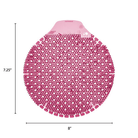 211496770.jpg